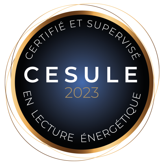 CESULE LOGO 2023 certification CESULE